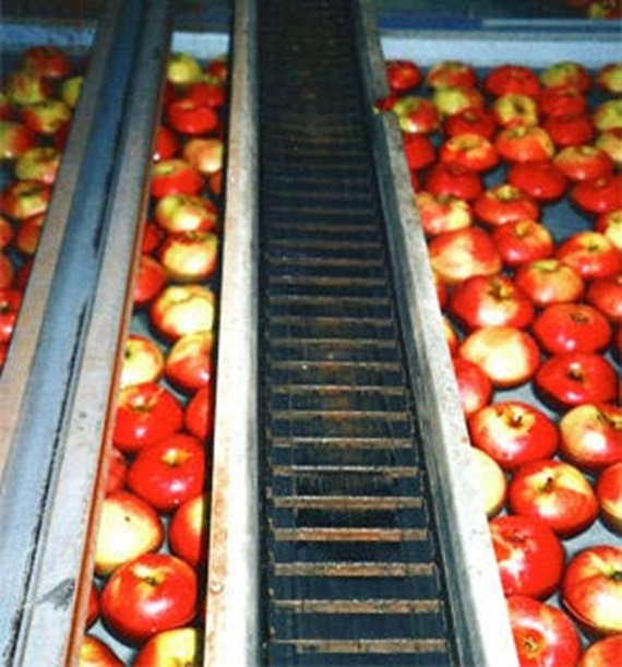 リンゴ選別施設のR68型、湿度や粉塵と継続的に接触。 