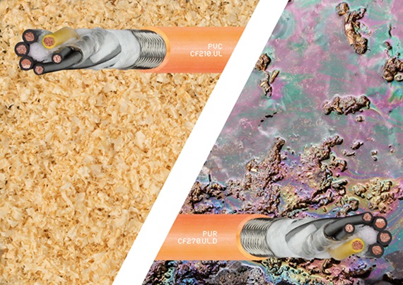 CFオンラインセミナー