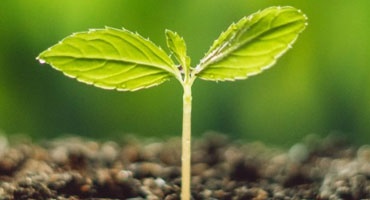 イグス アカデミー