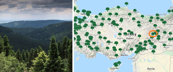 エラズーの森林再生地を示した地図